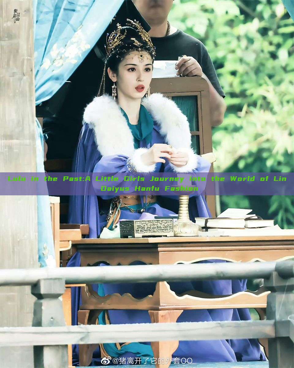Lulu in the Past:A Little Girls Journey into the World of Lin Daiyus Hanfu Fashion
