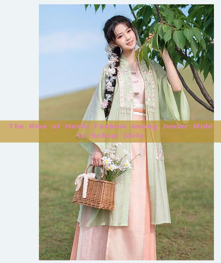 The Rise of Hanfu Fashion among Junior Middle School Girls