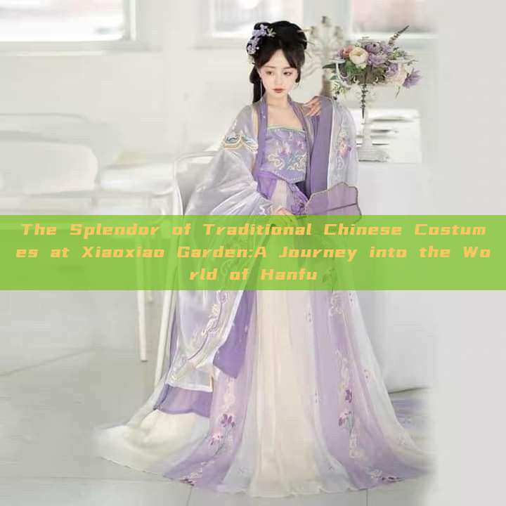 The Splendor of Traditional Chinese Costumes at Xiaoxiao Garden:A Journey into the World of Hanfu The Splendor of Traditional Chinese Costumes at Xiaoxiao Garden:A Journey into the World of Hanfu
