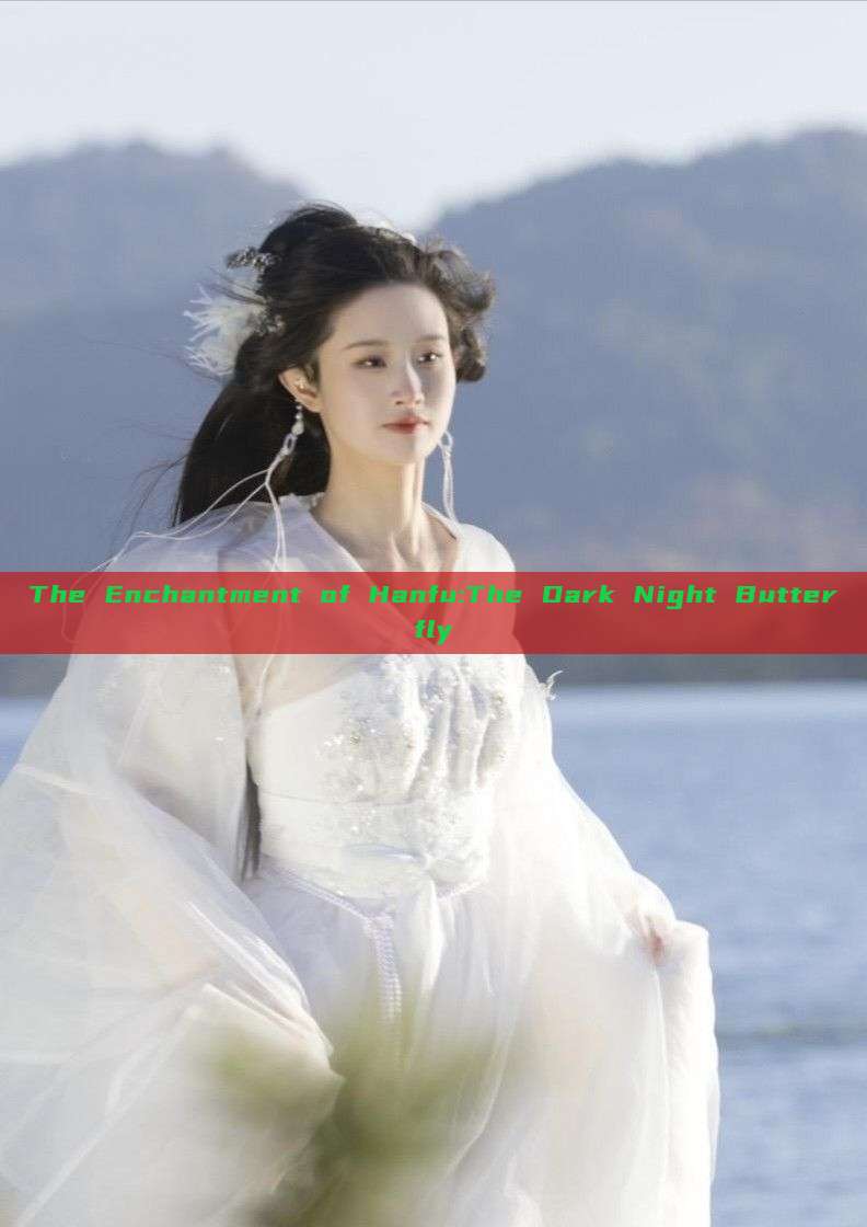 The Enchantment of Hanfu:The Dark Night Butterfly