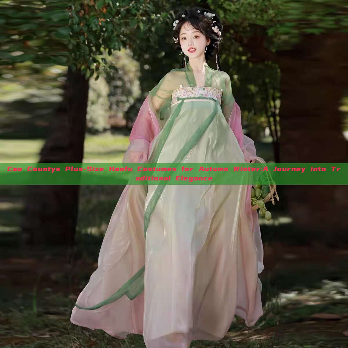 Cao Countys Plus-Size Hanfu Costumes for Autumn Winter:A Journey into Traditional Elegance