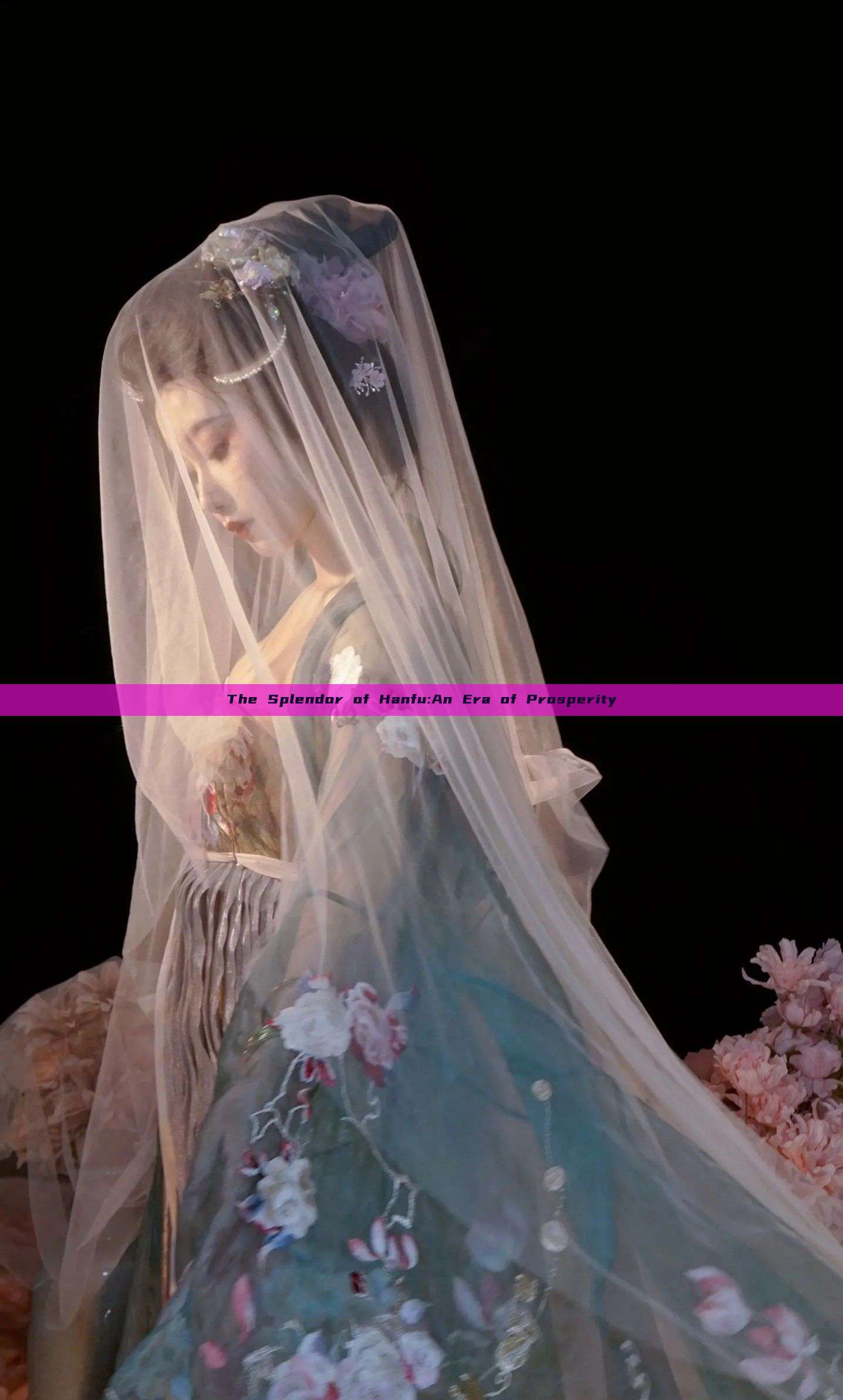 The Splendor of Hanfu:An Era of Prosperity The Splendor of Hanfu:An Era of Prosperity
