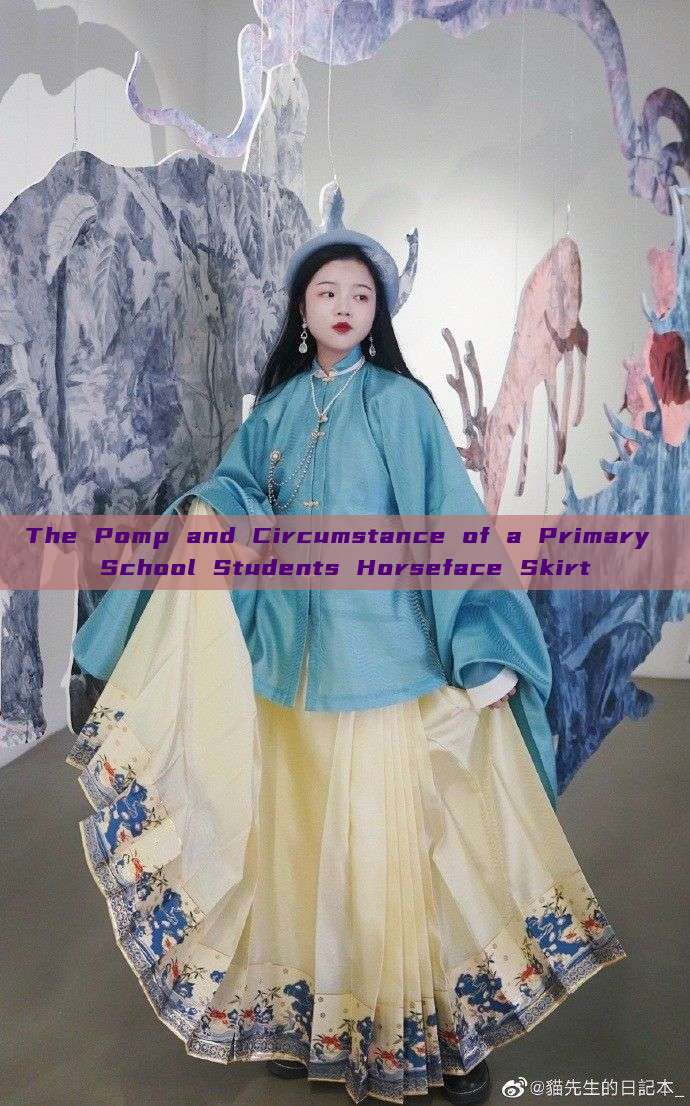 The Pomp and Circumstance of a Primary School Students Horseface Skirt