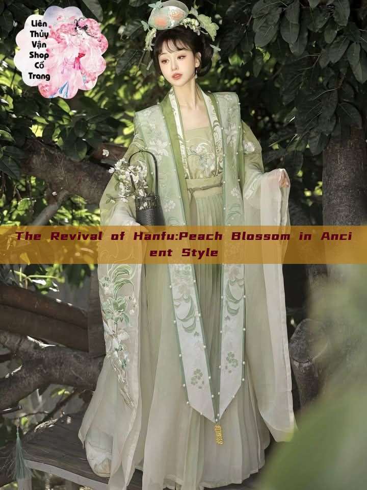The Revival of Hanfu:Peach Blossom in Ancient Style