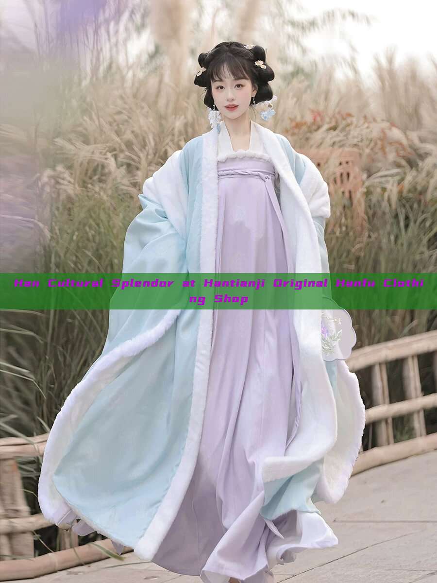Han Cultural Splendor at Hantianji Original Hanfu Clothing Shop