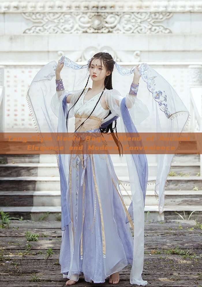 Tang-Style Hanfu Bags:A Blend of Ancient Elegance and Modern Convenience