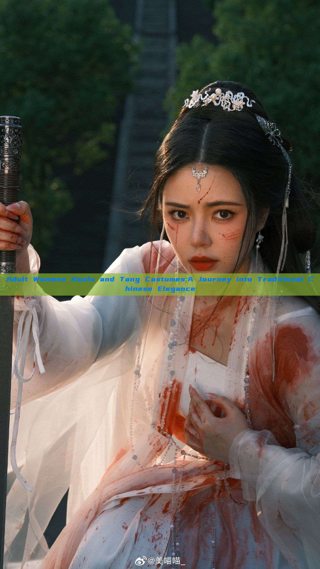 Adult Womens Hanfu and Tang Costumes:A Journey into Traditional Chinese Elegance Adult Womens Hanfu and Tang Costumes:A Journey into Traditional Chinese Elegance