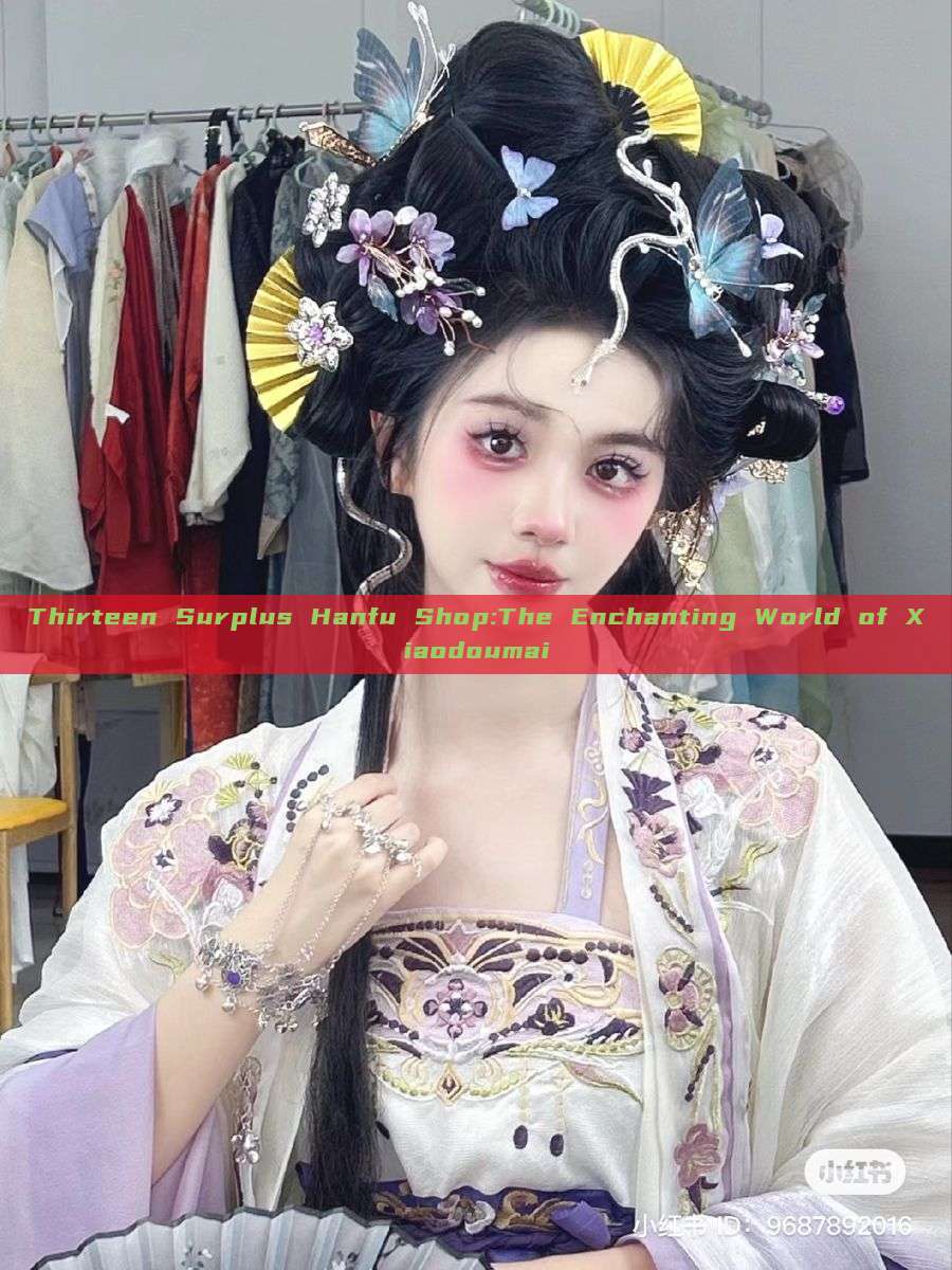 Thirteen Surplus Hanfu Shop:The Enchanting World of Xiaodoumai