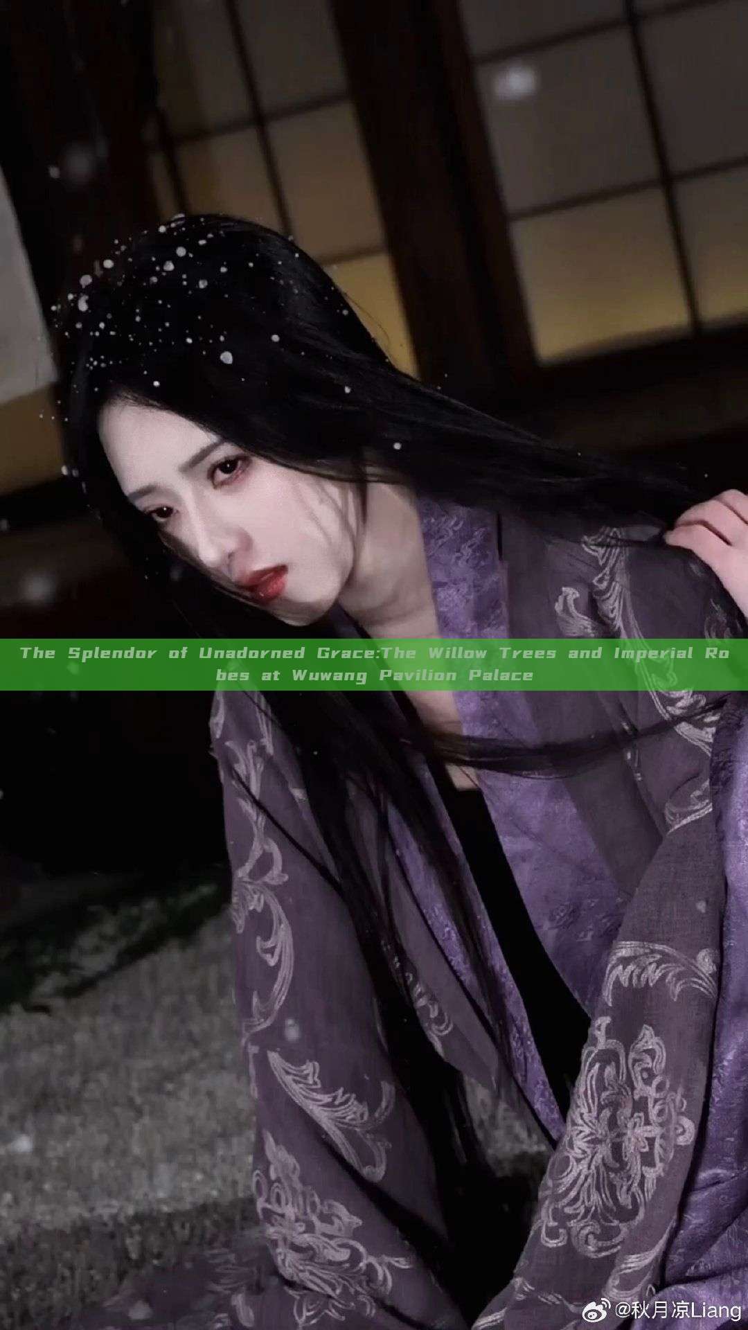 The Splendor of Unadorned Grace:The Willow Trees and Imperial Robes at Wuwang Pavilion Palace