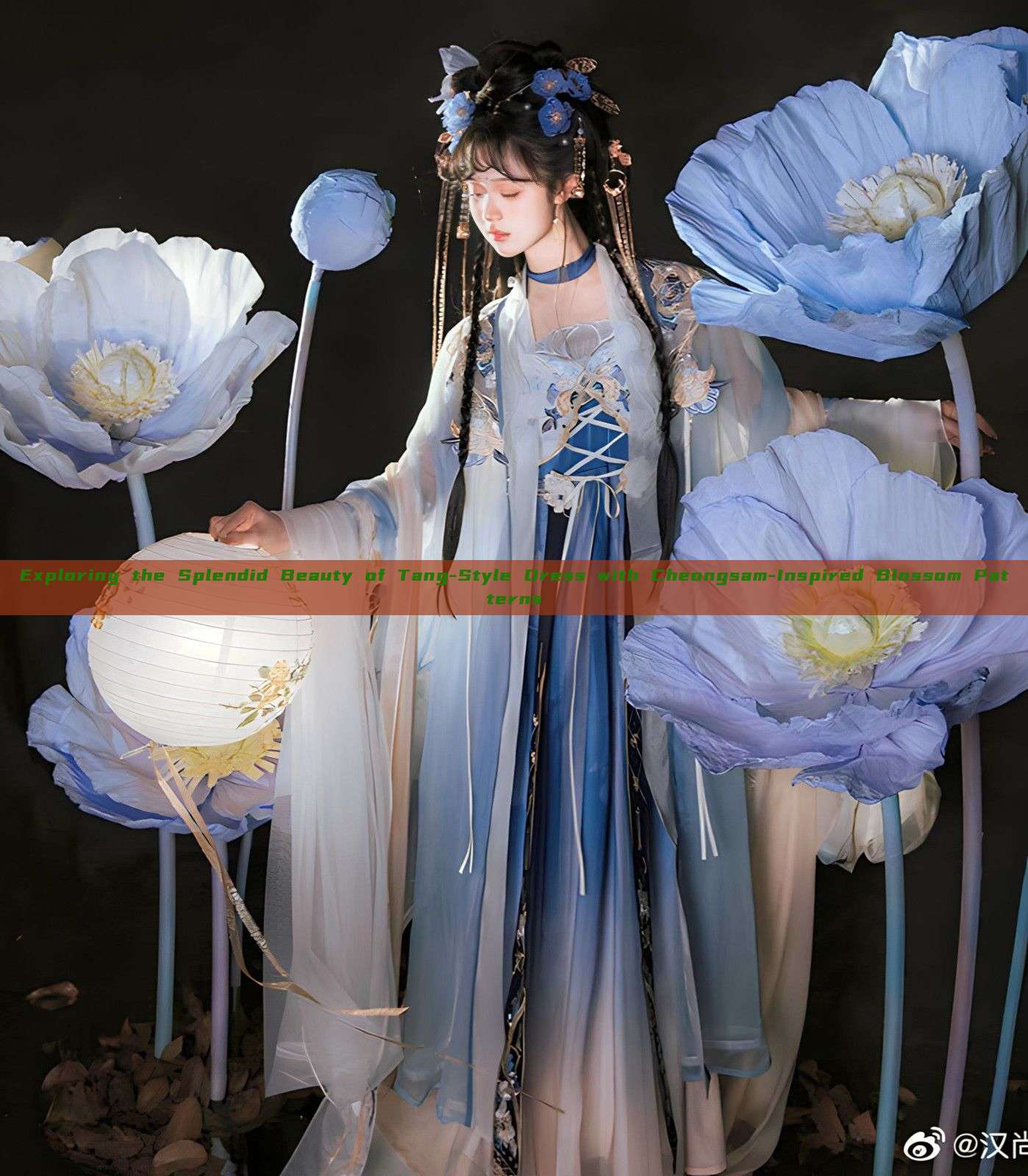 Exploring the Splendid Beauty of Tang-Style Dress with Cheongsam-Inspired Blossom Patterns
