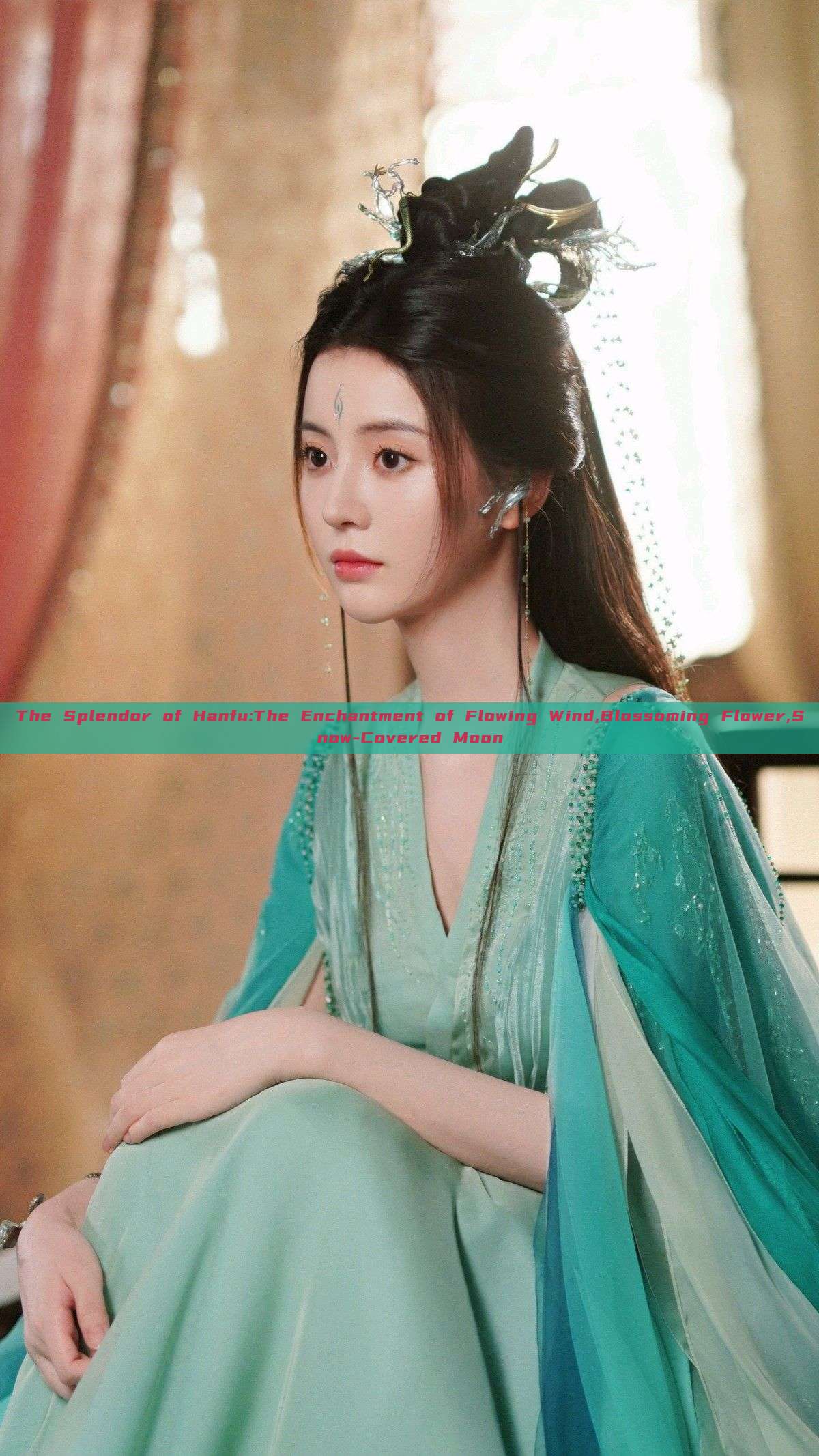 The Splendor of Hanfu:The Enchantment of Flowing Wind,Blossoming Flower,Snow-Covered Moon