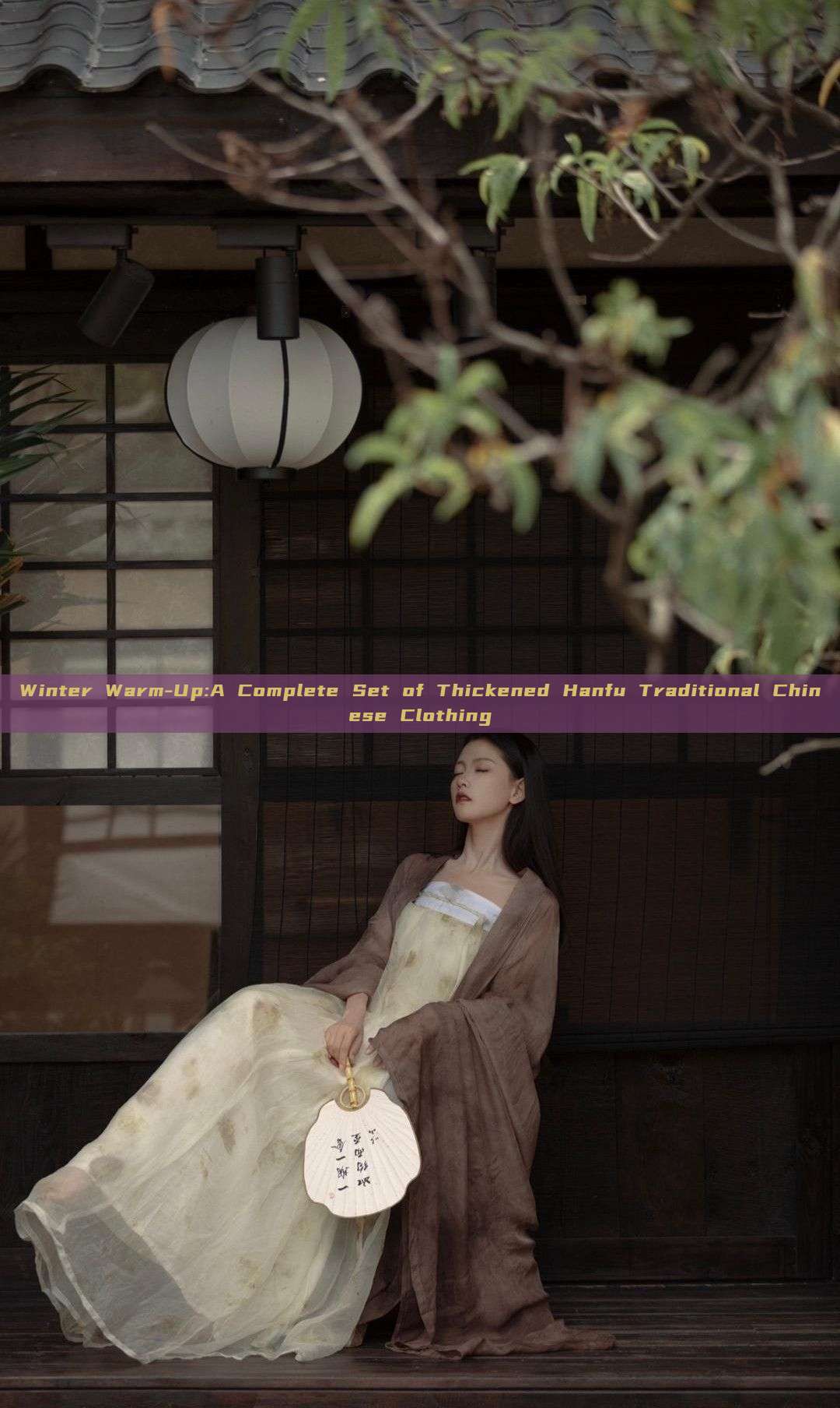 Winter Warm-Up:A Complete Set of Thickened Hanfu Traditional Chinese Clothing