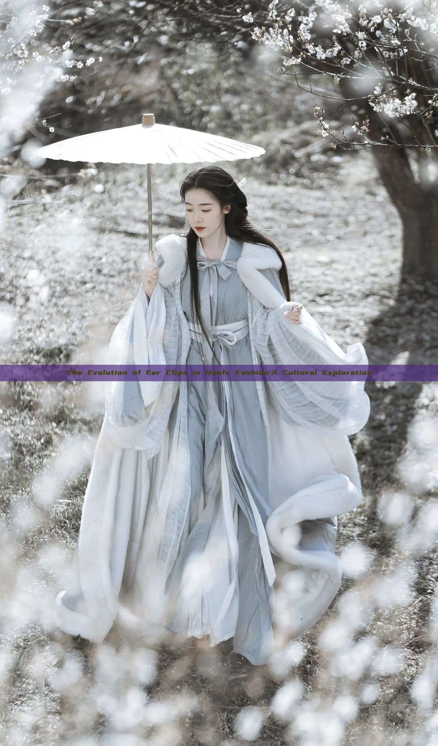 The Evolution of Ear Clips in Hanfu Fashion:A Cultural Exploration The Evolution of Ear Clips in Hanfu Fashion:A Cultural Exploration