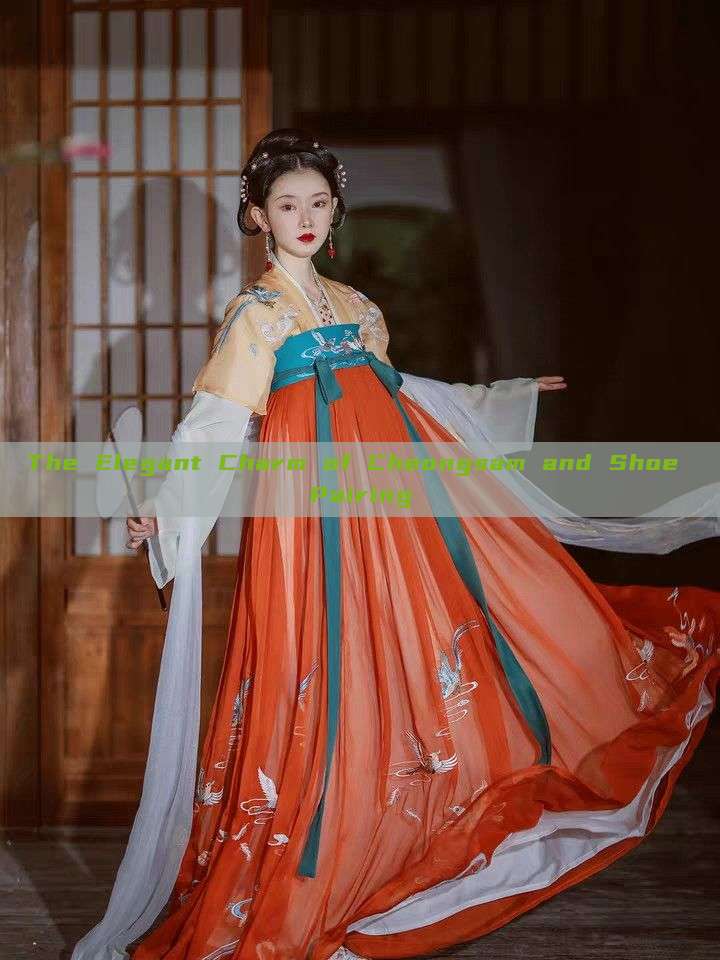 The Elegant Charm of Cheongsam and Shoe Pairing