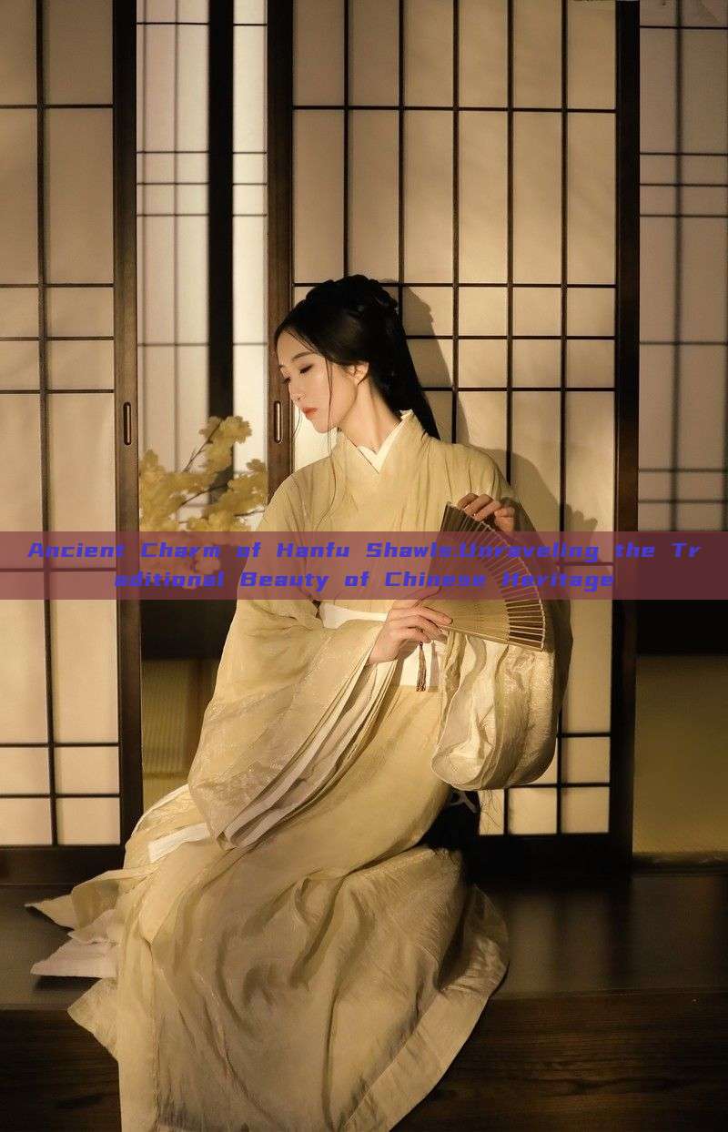 Ancient Charm of Hanfu Shawls:Unraveling the Traditional Beauty of Chinese Heritage