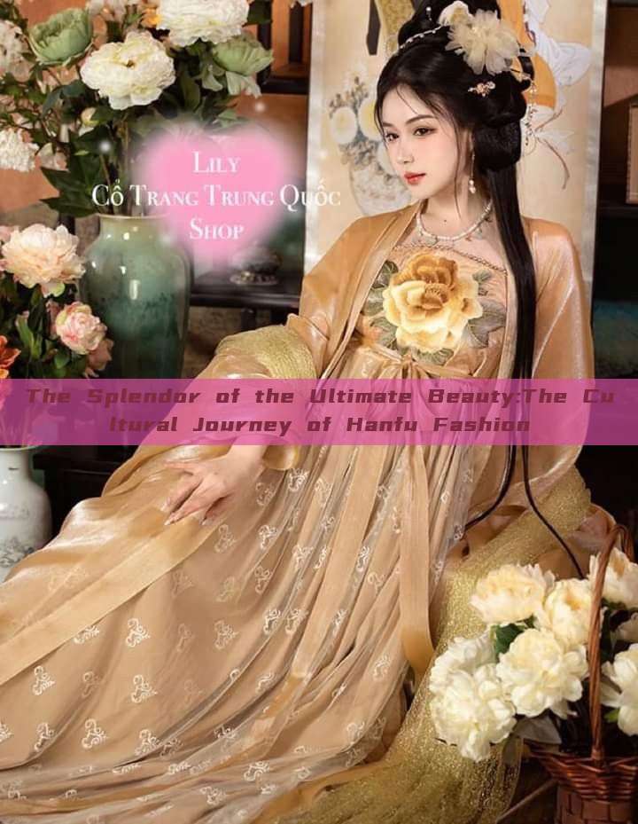 The Splendor of the Ultimate Beauty:The Cultural Journey of Hanfu Fashion