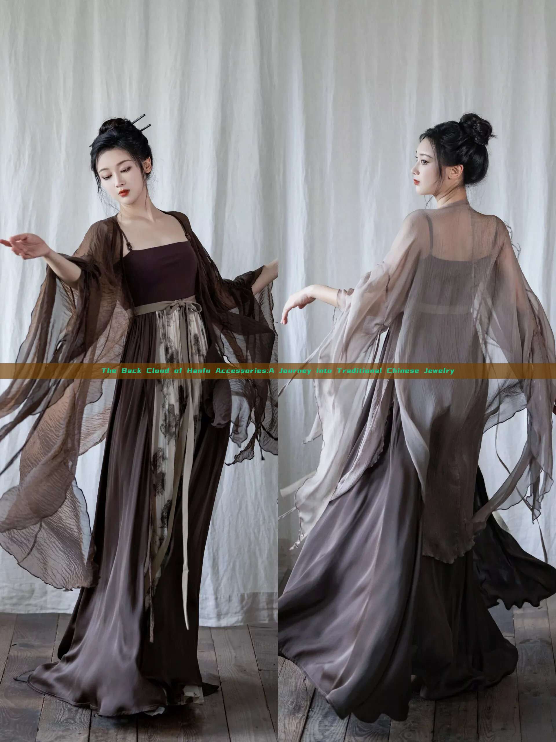 The Back Cloud of Hanfu Accessories:A Journey into Traditional Chinese Jewelry