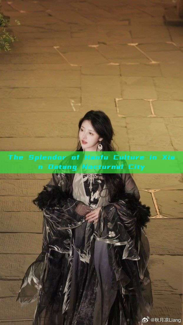 The Splendor of Hanfu Culture in Xian Datang Nocturnal City