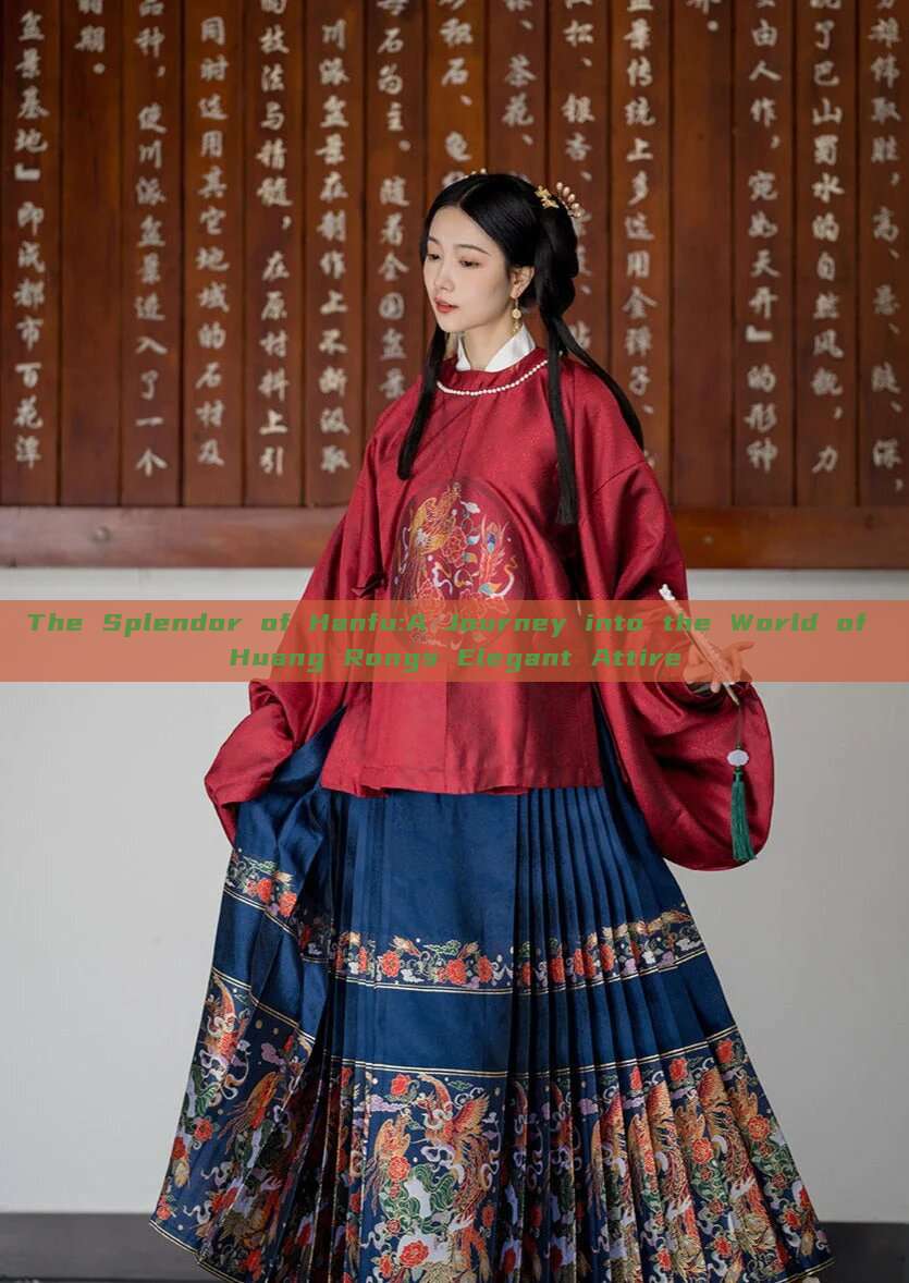 The Splendor of Hanfu:A Journey into the World of Huang Rongs Elegant Attire The Splendor of Hanfu:A Journey into the World of Huang Rongs Elegant Attire