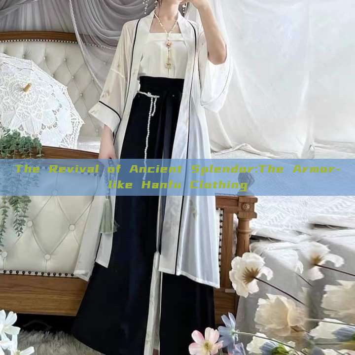 The Revival of Ancient Splendor:The Armor-like Hanfu Clothing The Revival of Ancient Splendor:The Armor-like Hanfu Clothing