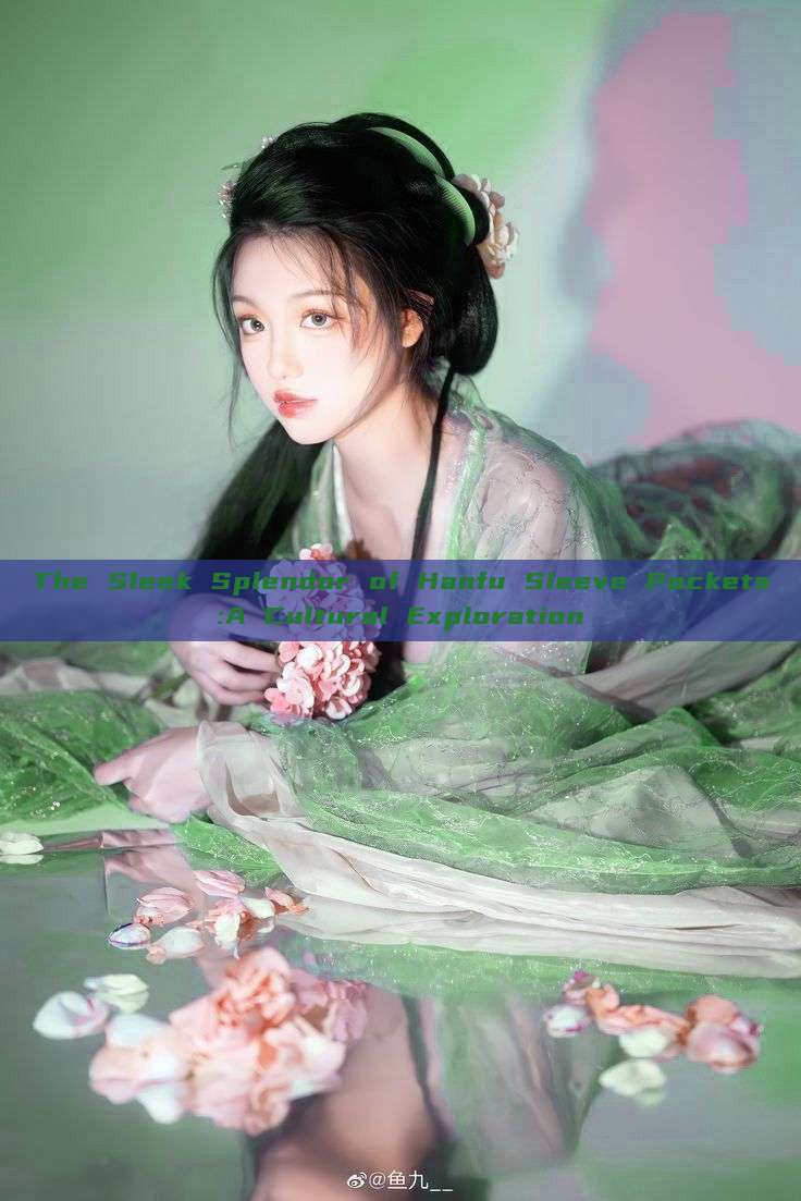 The Sleek Splendor of Hanfu Sleeve Pockets:A Cultural Exploration The Sleek Splendor of Hanfu Sleeve Pockets:A Cultural Exploration