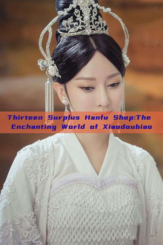 Thirteen Surplus Hanfu Shop:The Enchanting World of Xiaodoubiao Thirteen Surplus Hanfu Shop:The Enchanting World of Xiaodoubiao
