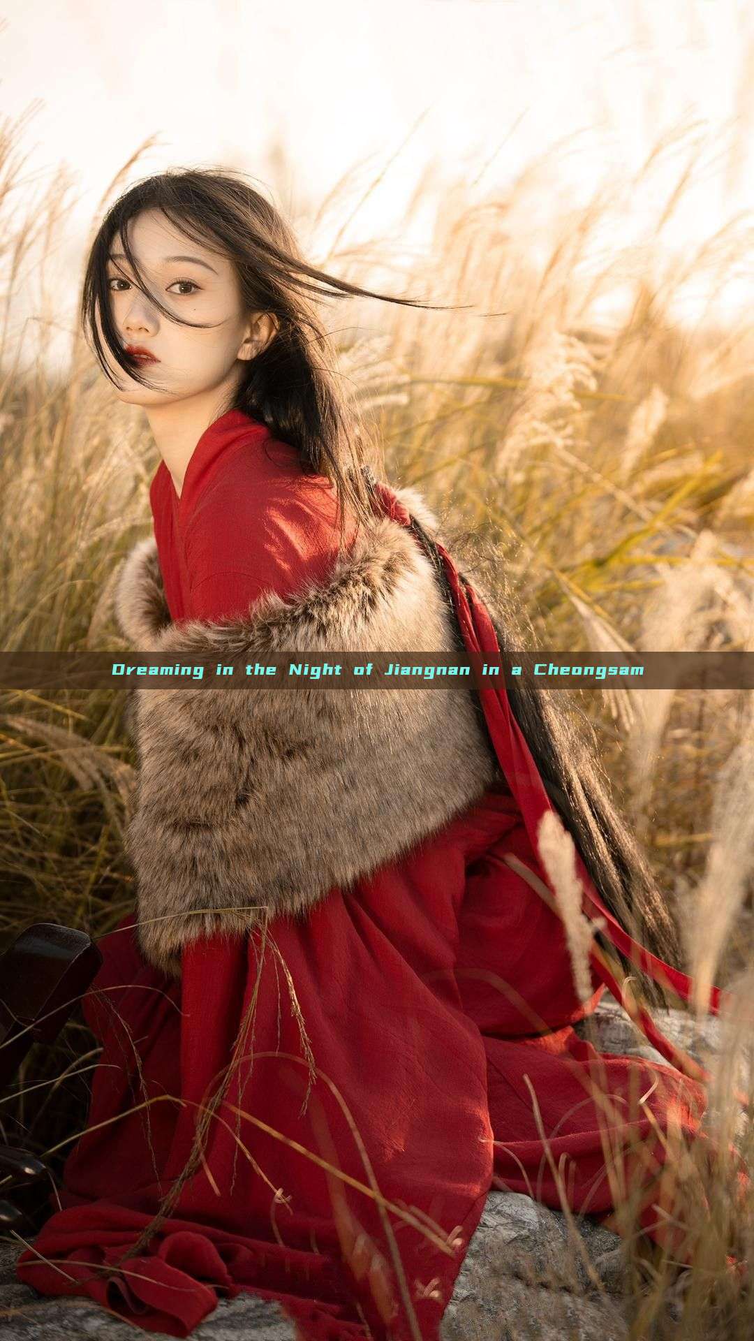Dreaming in the Night of Jiangnan in a Cheongsam Dreaming in the Night of Jiangnan in a Cheongsam