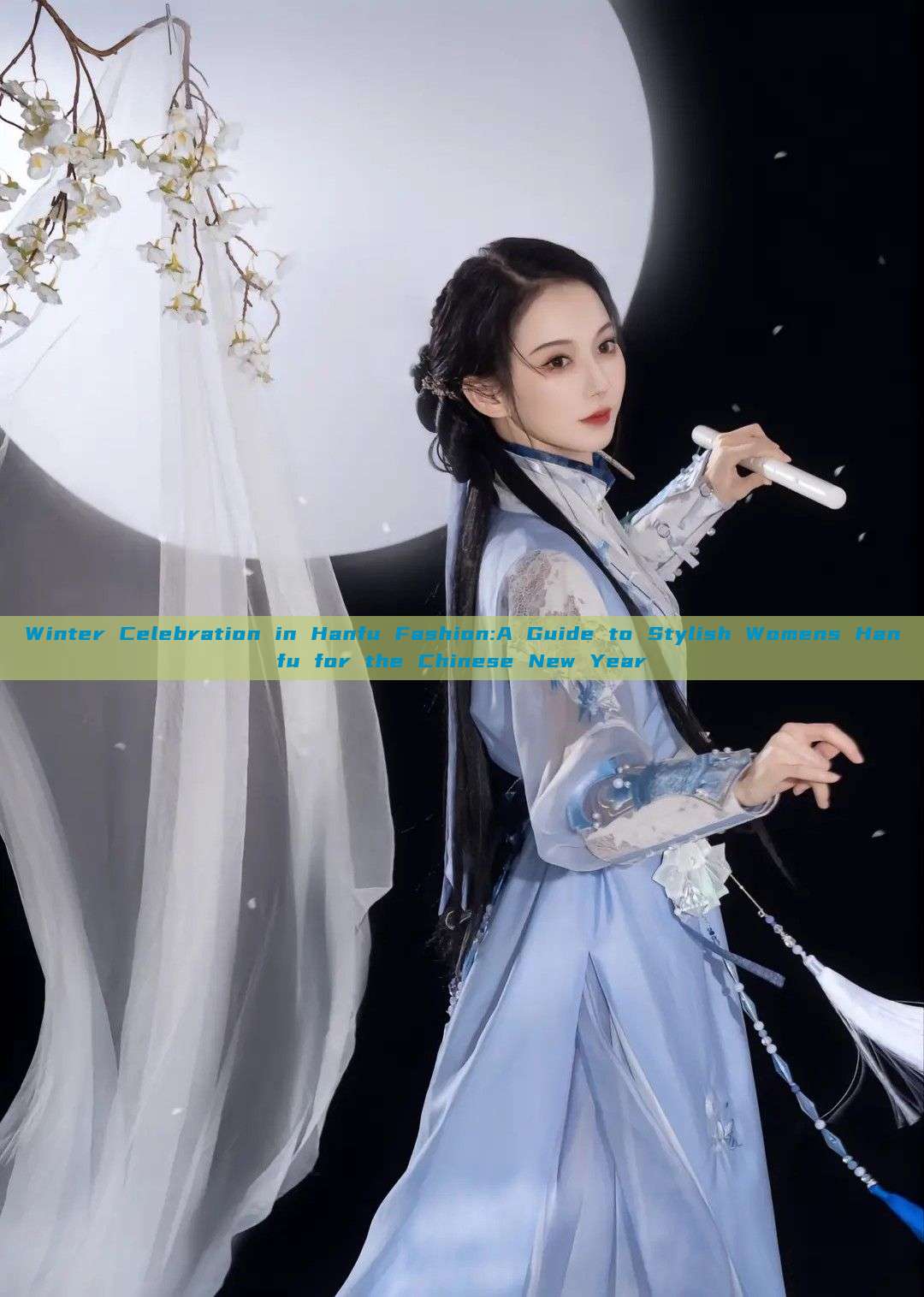Winter Celebration in Hanfu Fashion:A Guide to Stylish Womens Hanfu for the Chinese New Year