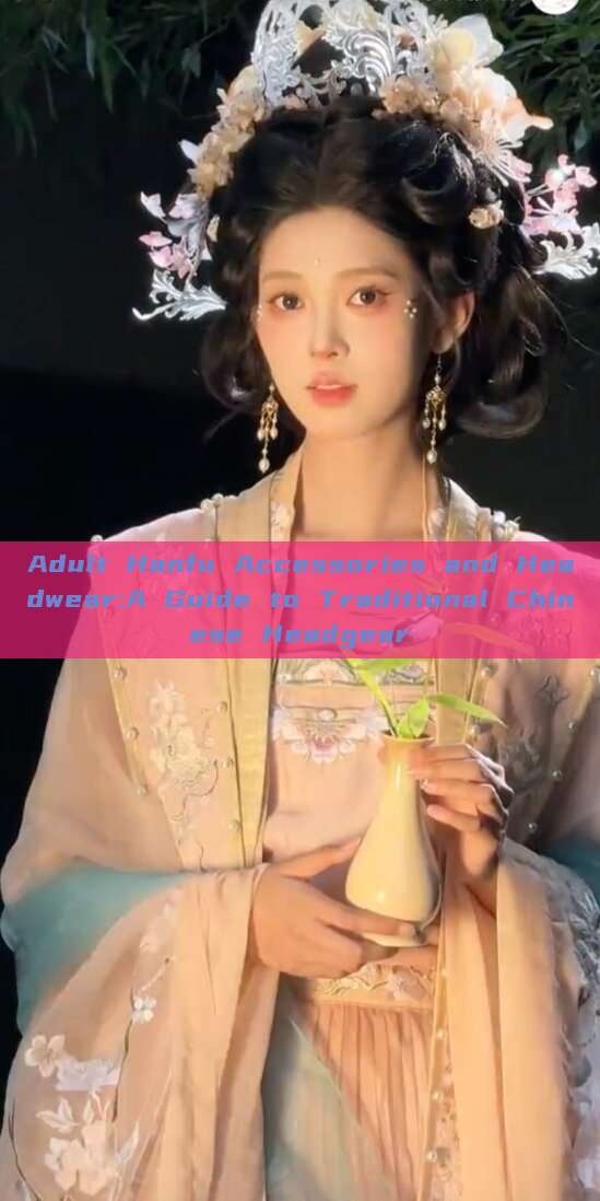 Adult Hanfu Accessories and Headwear:A Guide to Traditional Chinese Headgear