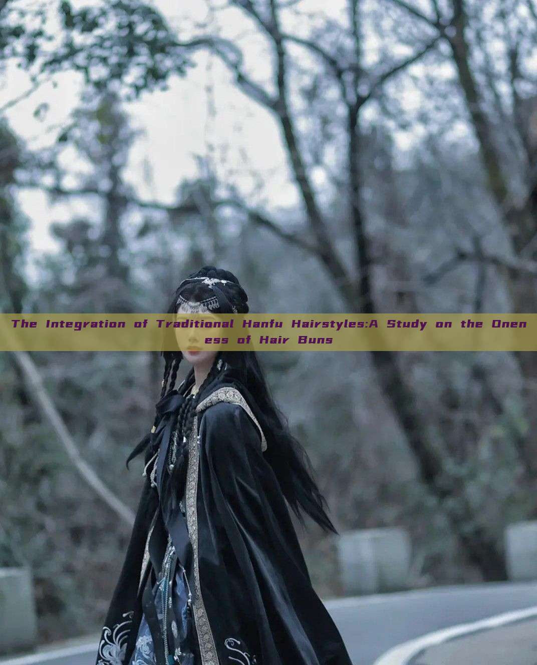 The Integration of Traditional Hanfu Hairstyles:A Study on the Oneness of Hair Buns The Integration of Traditional Hanfu Hairstyles:A Study on the Oneness of Hair Buns