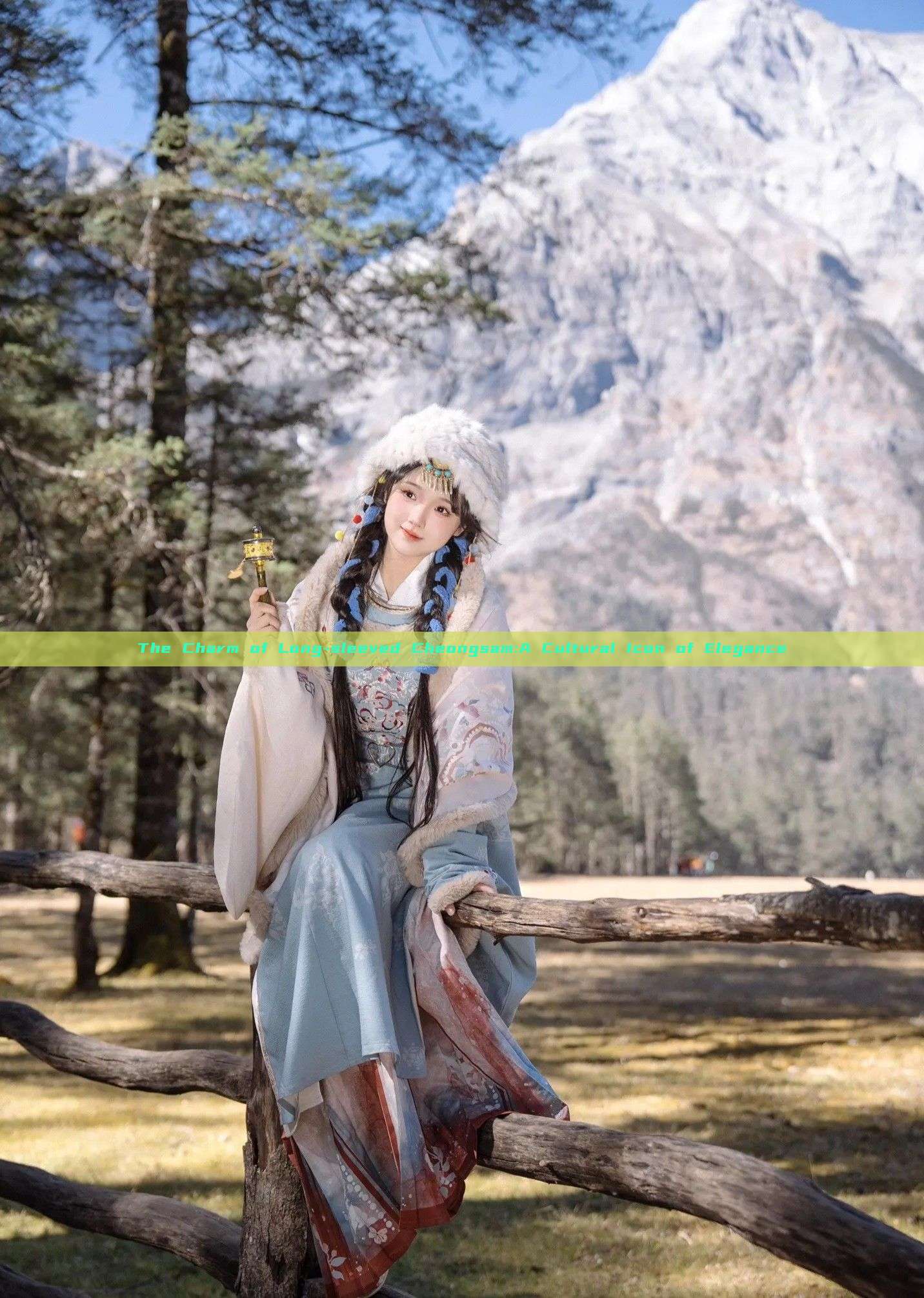 The Charm of Long-sleeved Cheongsam:A Cultural Icon of Elegance The Charm of Long-sleeved Cheongsam:A Cultural Icon of Elegance