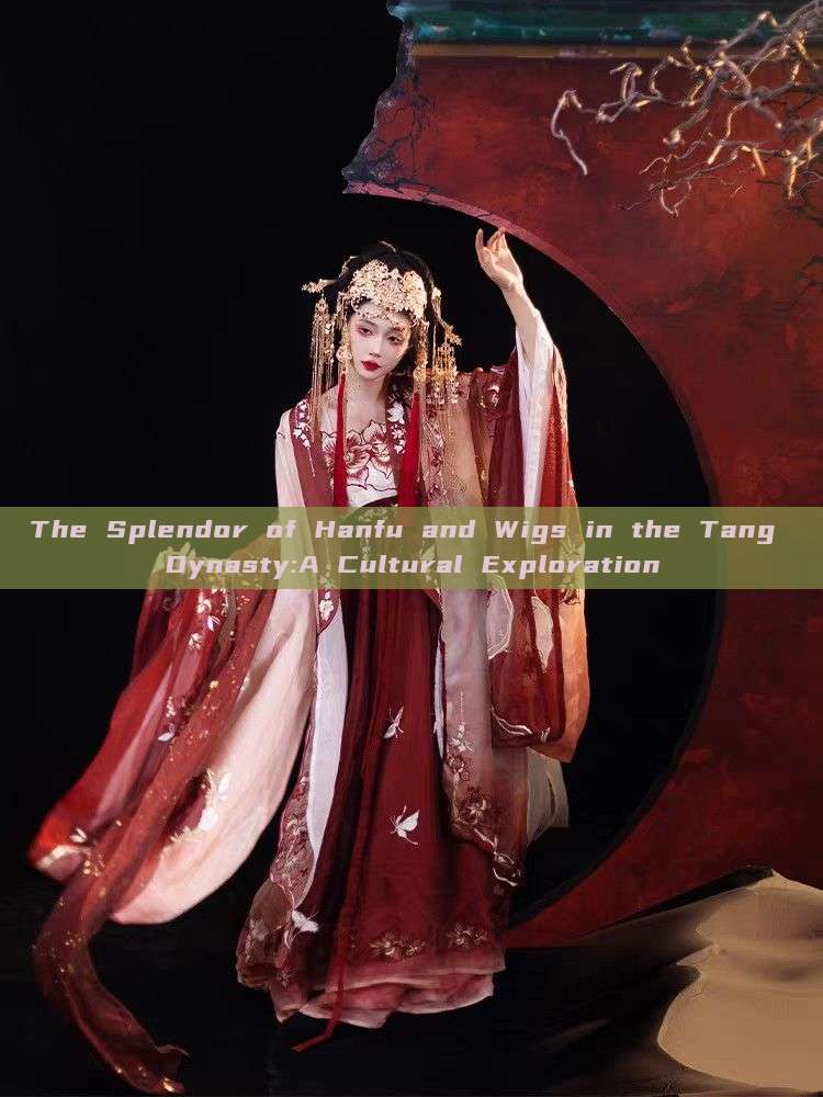 The Splendor of Hanfu and Wigs in the Tang Dynasty:A Cultural Exploration