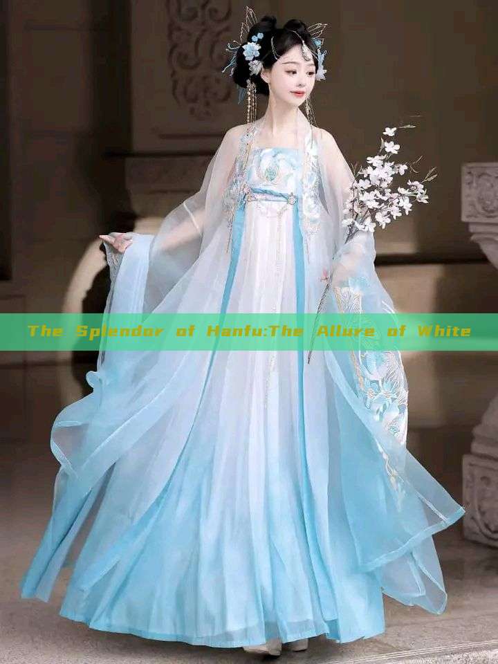 The Splendor of Hanfu:The Allure of White