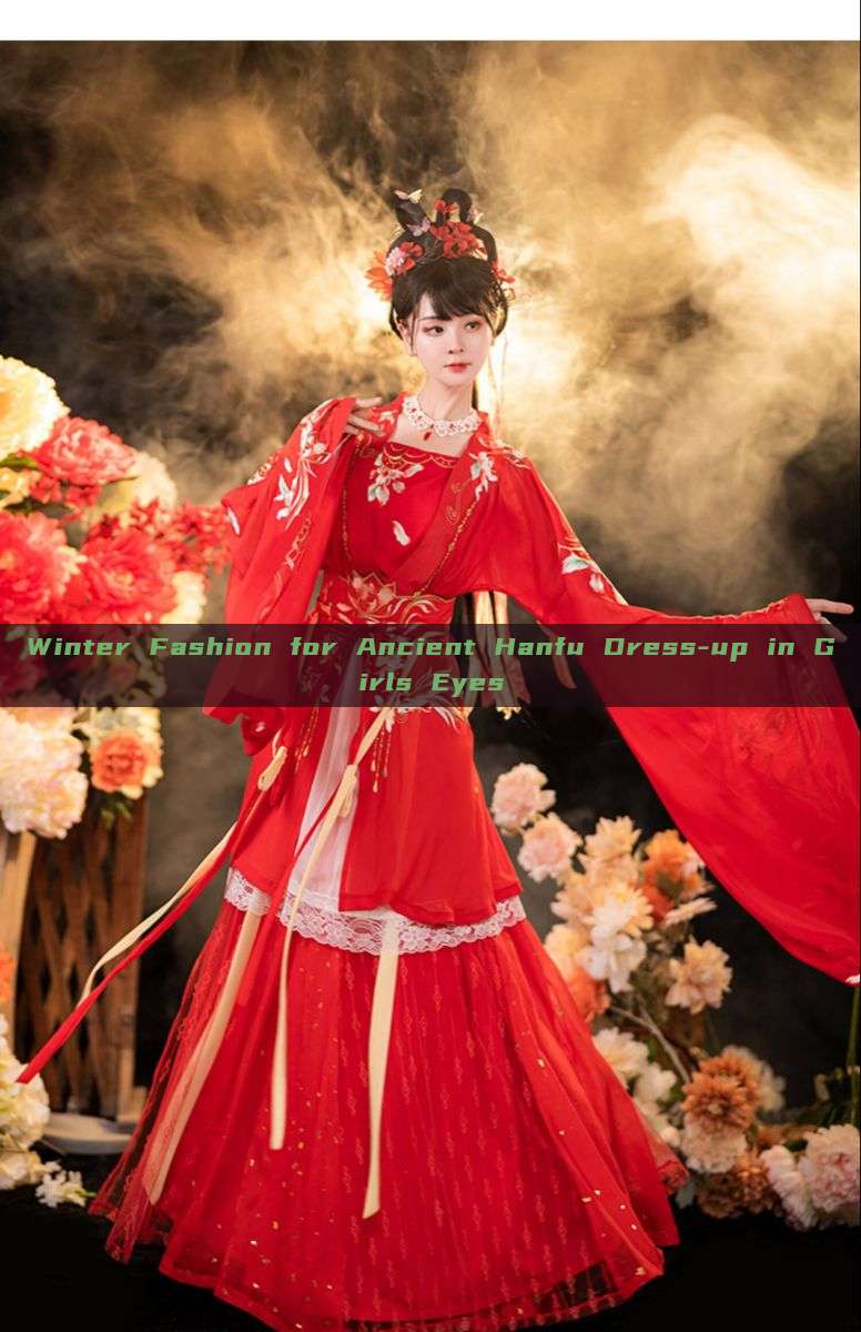 Winter Fashion for Ancient Hanfu Dress-up in Girls Eyes