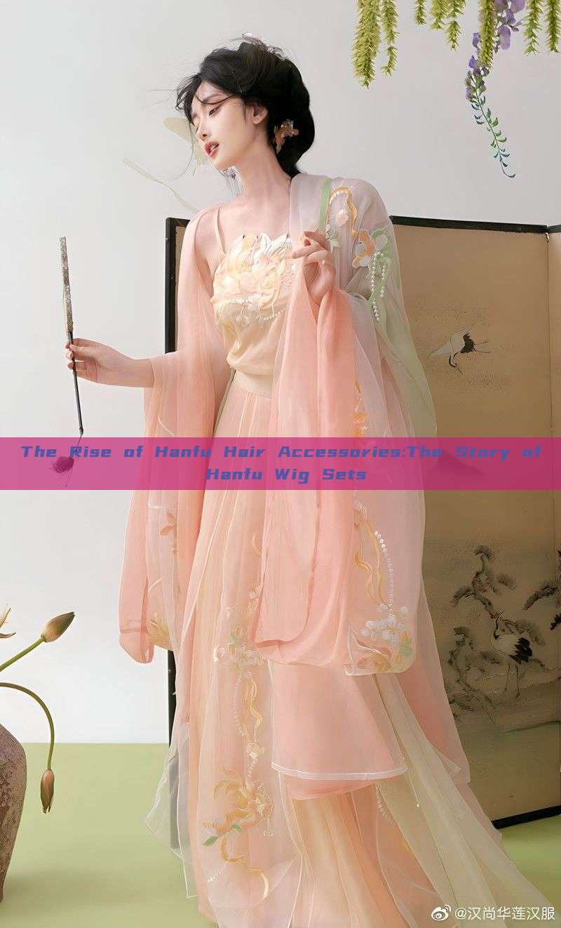 The Rise of Hanfu Hair Accessories:The Story of Hanfu Wig Sets The Rise of Hanfu Hair Accessories:The Story of Hanfu Wig Sets