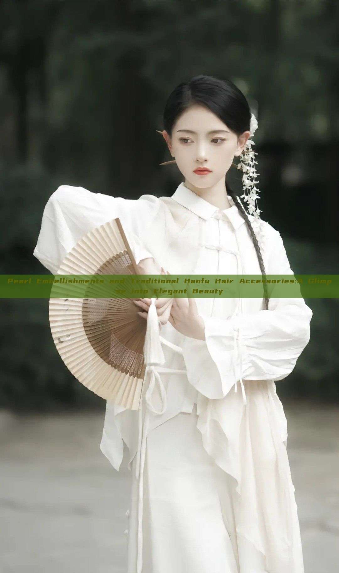 Pearl Embellishments and Traditional Hanfu Hair Accessories:A Glimpse into Elegant Beauty Pearl Embellishments and Traditional Hanfu Hair Accessories:A Glimpse into Elegant Beauty