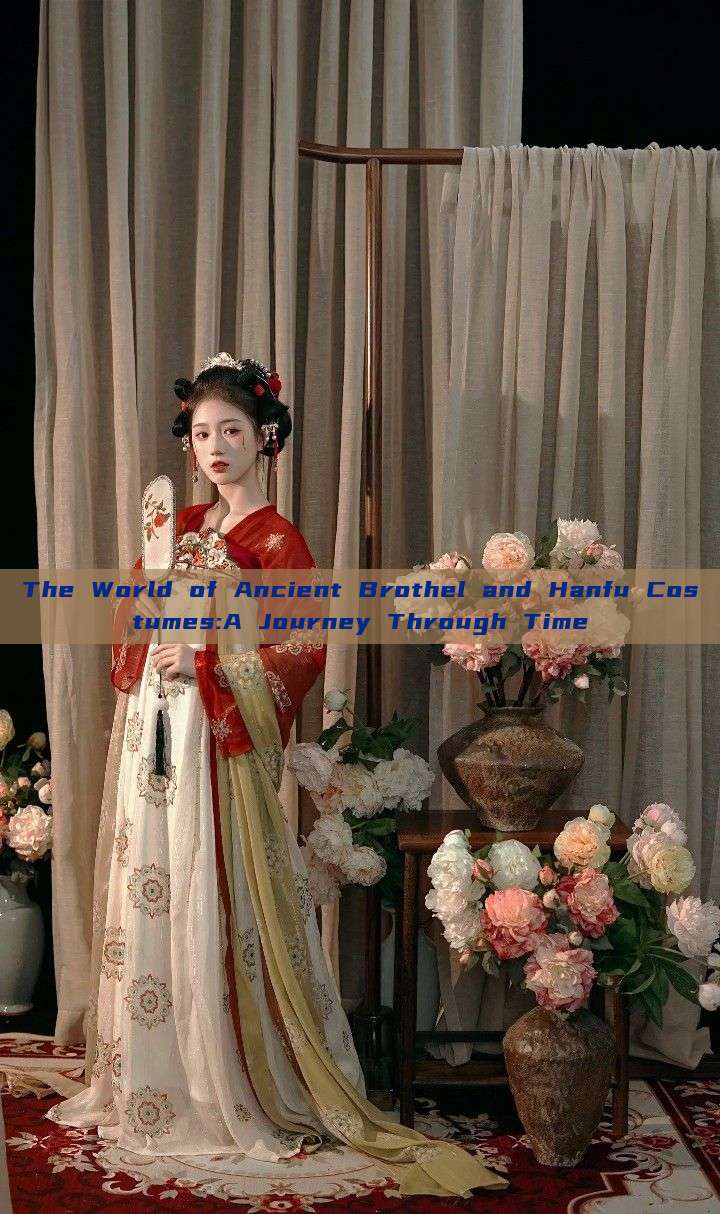 The World of Ancient Brothel and Hanfu Costumes:A Journey Through Time The World of Ancient Brothel and Hanfu Costumes:A Journey Through Time
