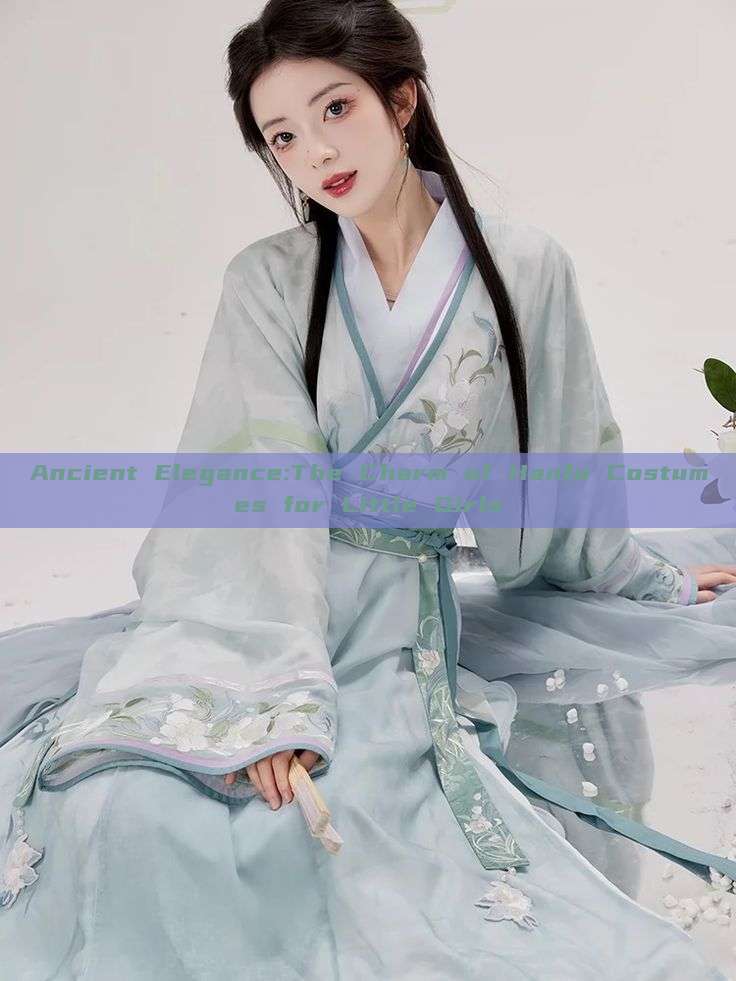 Ancient Elegance:The Charm of Hanfu Costumes for Little Girls