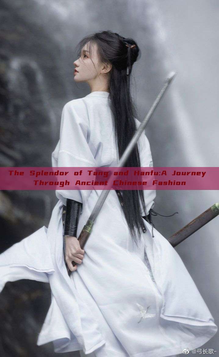 The Splendor of Tang and Hanfu:A Journey Through Ancient Chinese Fashion