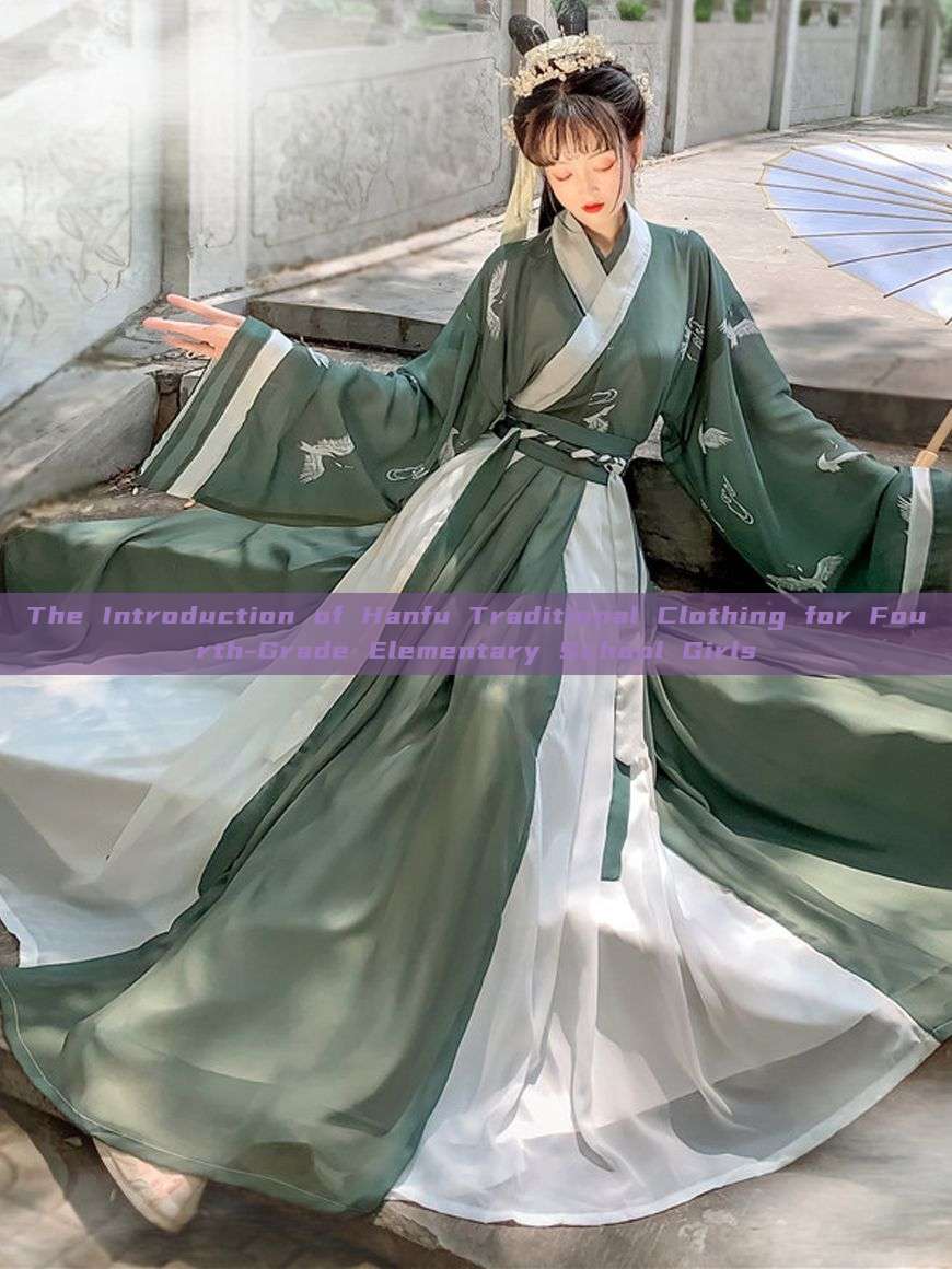 The Introduction of Hanfu Traditional Clothing for Fourth-Grade Elementary School Girls The Introduction of Hanfu Traditional Clothing for Fourth-Grade Elementary School Girls