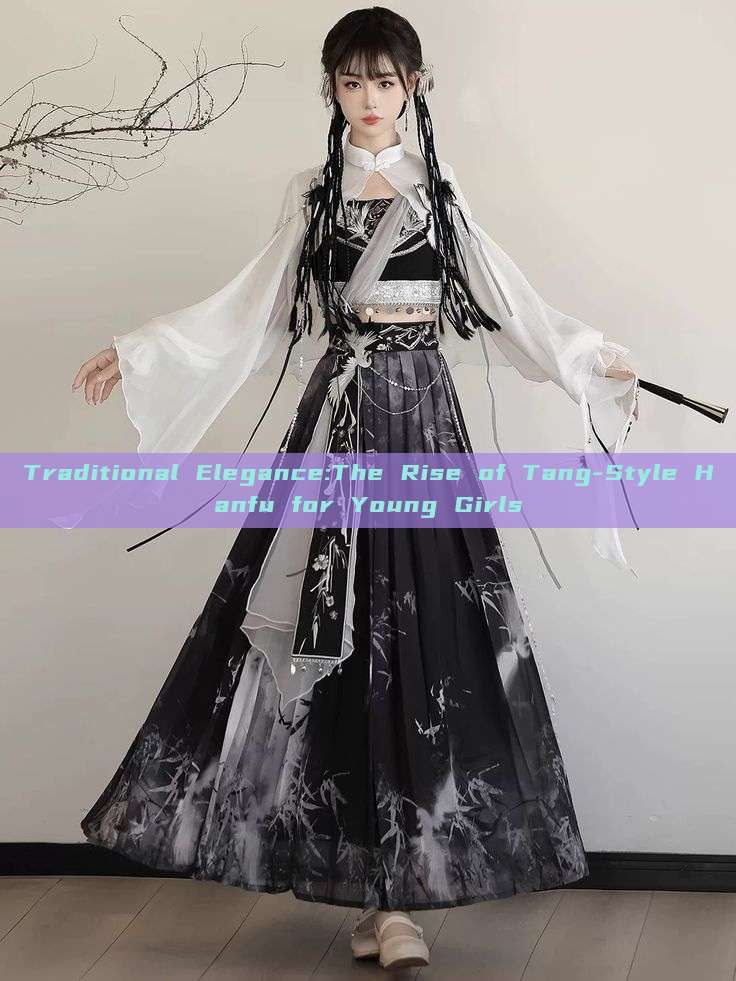 Traditional Elegance:The Rise of Tang-Style Hanfu for Young Girls Traditional Elegance:The Rise of Tang-Style Hanfu for Young Girls
