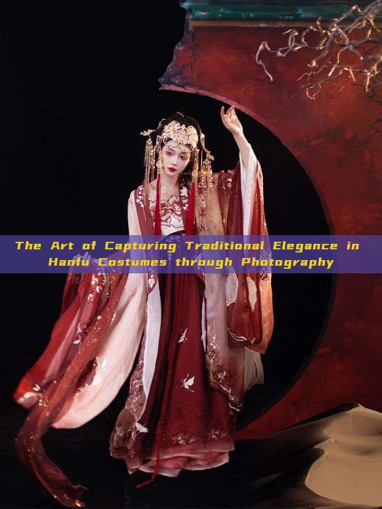 The Art of Capturing Traditional Elegance in Hanfu Costumes through Photography