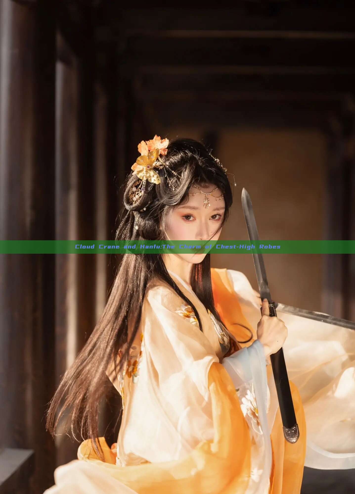 Cloud Crane and Hanfu:The Charm of Chest-High Robes Cloud Crane and Hanfu:The Charm of Chest-High Robes