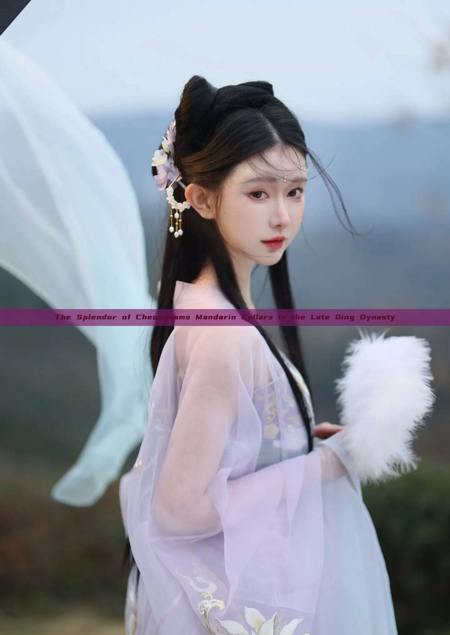 The Splendor of Cheongsams Mandarin Collars in the Late Qing Dynasty The Splendor of Cheongsams Mandarin Collars in the Late Qing Dynasty