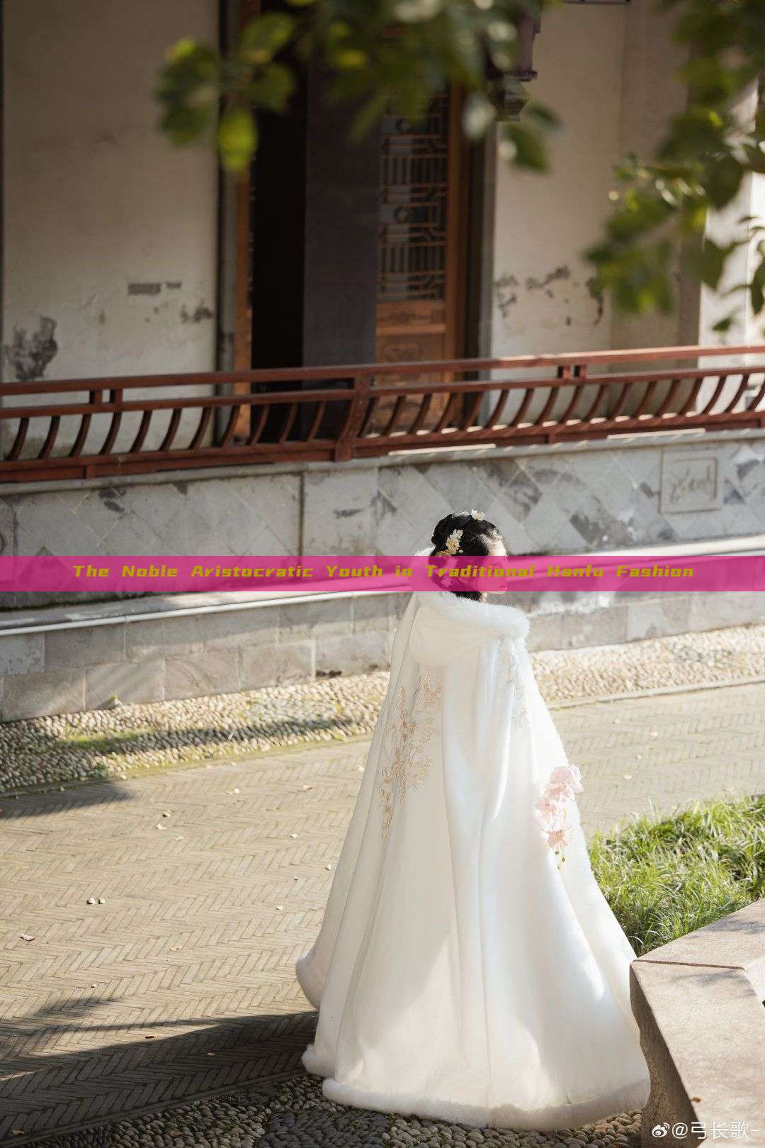 The Noble Aristocratic Youth in Traditional Hanfu Fashion The Noble Aristocratic Youth in Traditional Hanfu Fashion