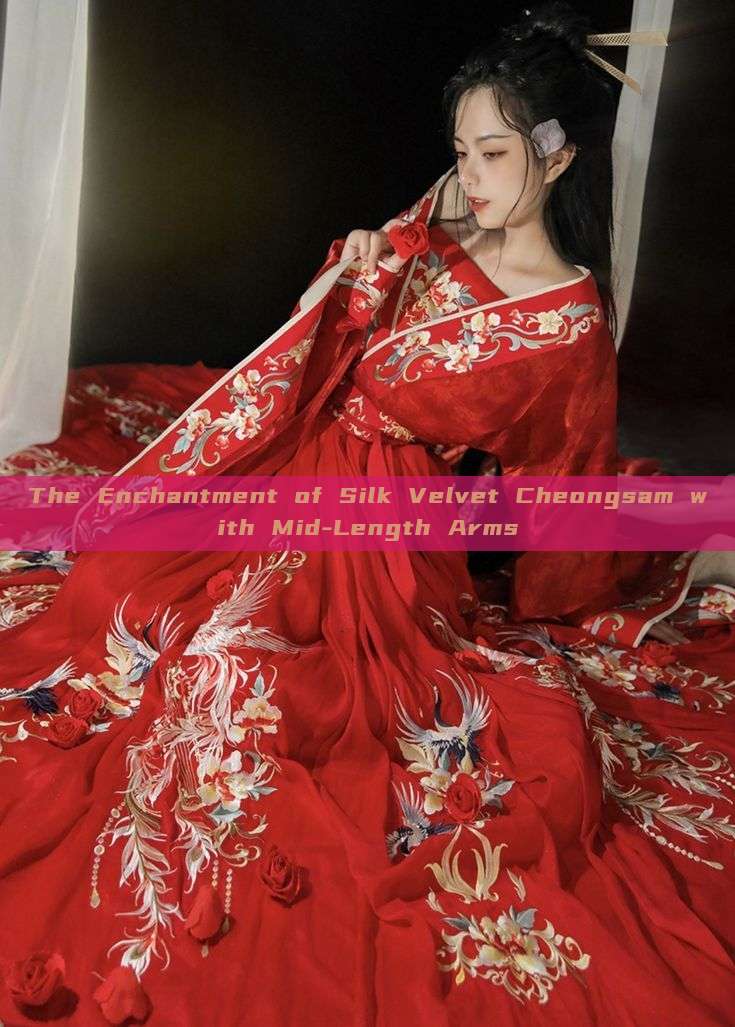 The Enchantment of Silk Velvet Cheongsam with Mid-Length Arms The Enchantment of Silk Velvet Cheongsam with Mid-Length Arms