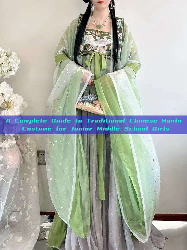 A Complete Guide to Traditional Chinese Hanfu Costume for Junior Middle School Girls A Complete Guide to Traditional Chinese Hanfu Costume for Junior Middle School Girls