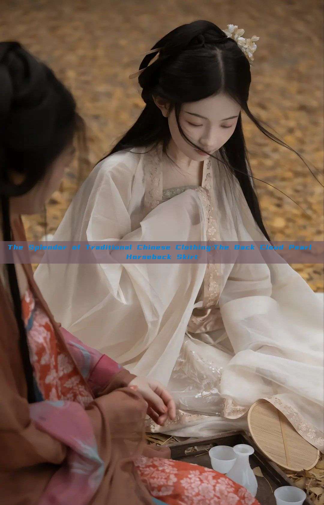 The Splendor of Traditional Chinese Clothing:The Back Cloud Pearl Horseback Skirt
