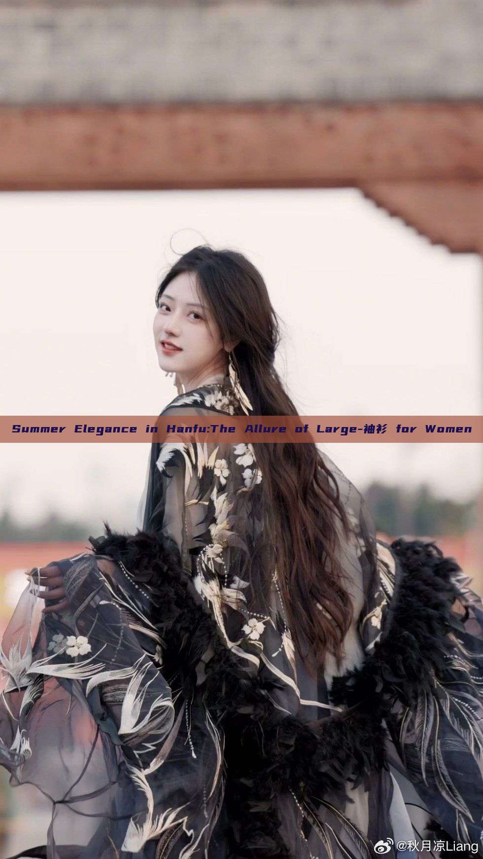 Summer Elegance in Hanfu:The Allure of Large-袖衫 for Women Summer Elegance in Hanfu:The Allure of Large-袖衫 for Women