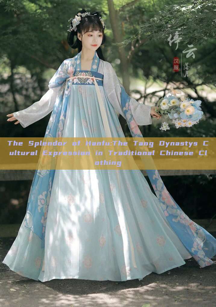 The Splendor of Hanfu:The Tang Dynastys Cultural Expression in Traditional Chinese Clothing The Splendor of Hanfu:The Tang Dynastys Cultural Expression in Traditional Chinese Clothing